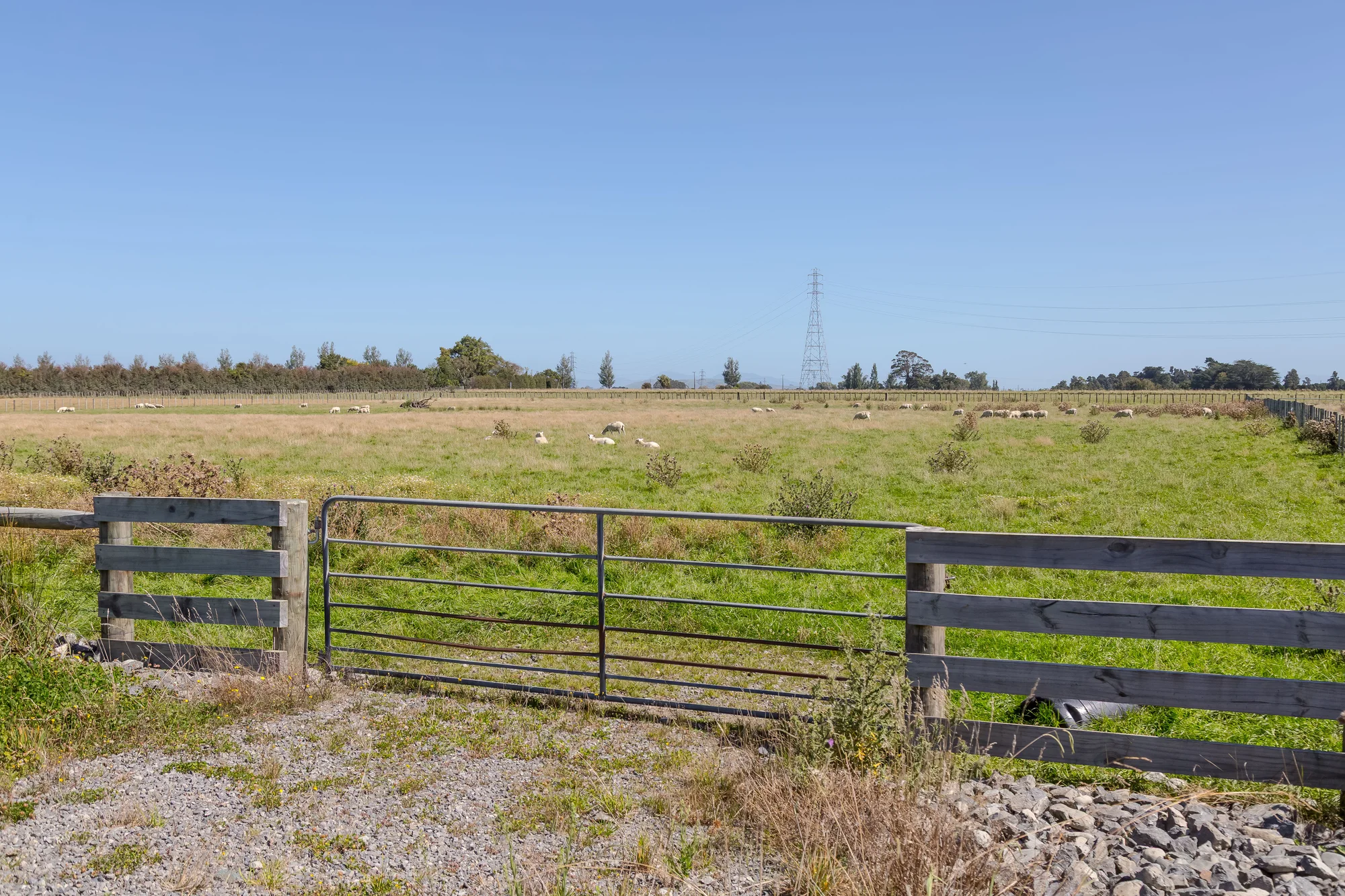 445 Perrys Road, East Taratahi, Carterton, Wairarapa, 0 Bedrooms, 0 Bathrooms, Lifestyle Section