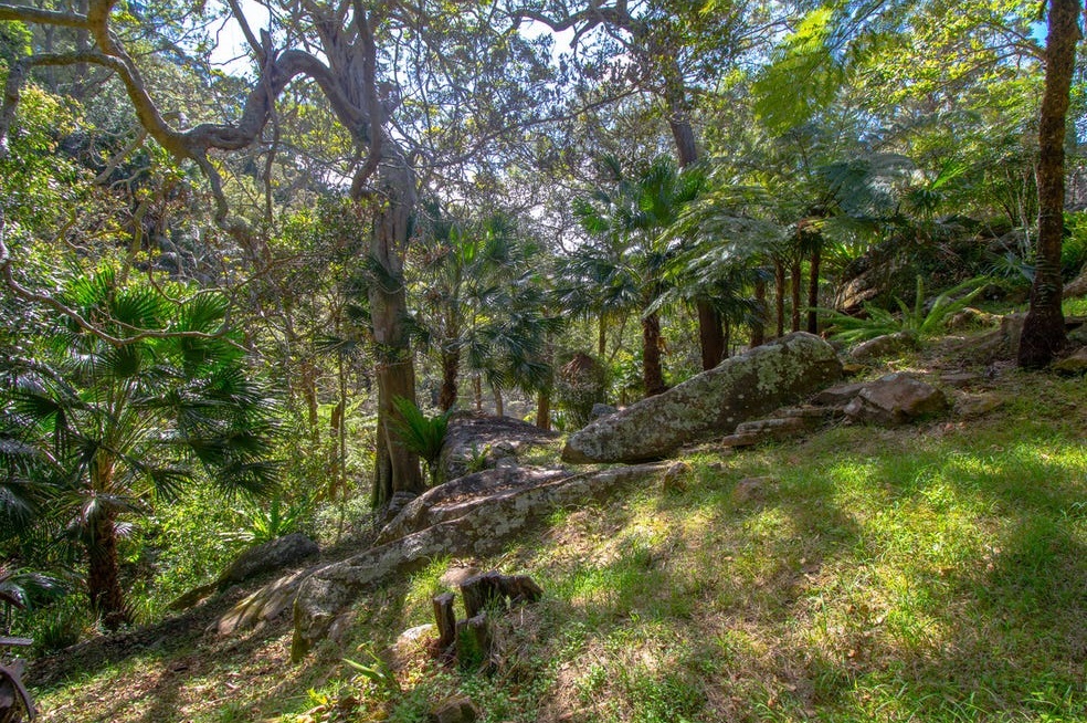 84A MCCARRS CREEK RD, CHURCH POINT NSW 2105, 0房, 0浴, Section