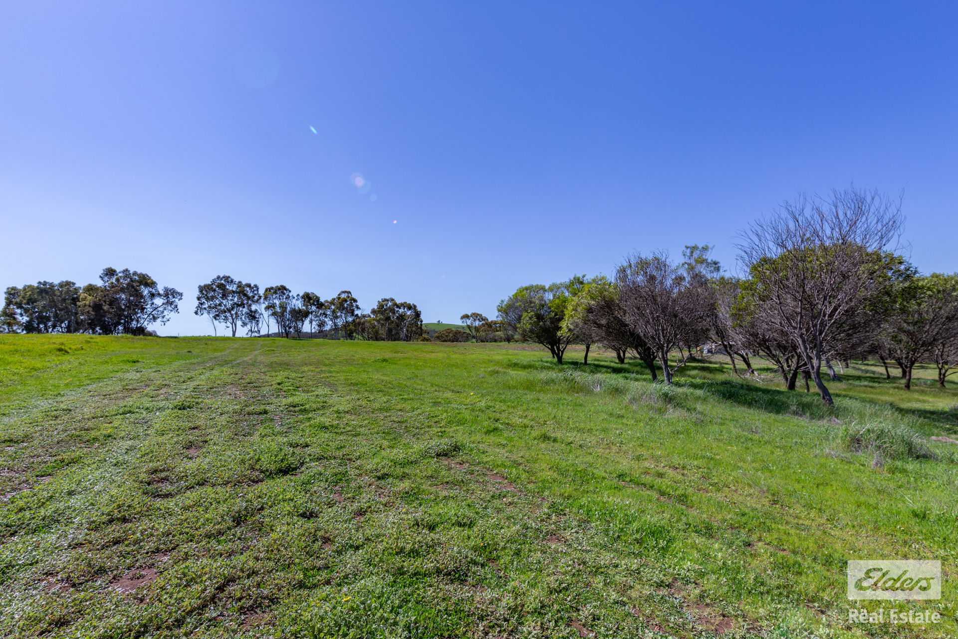 62 FERGUSON RD, COONDLE WA 6566, 0 rūma, 0 rūma horoi, Section