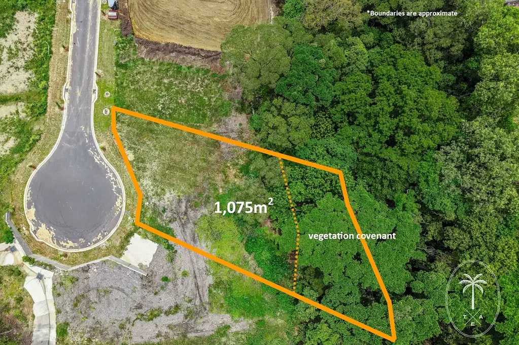 Palm Cove Premium Lot | No Body Corp | Enviable Location