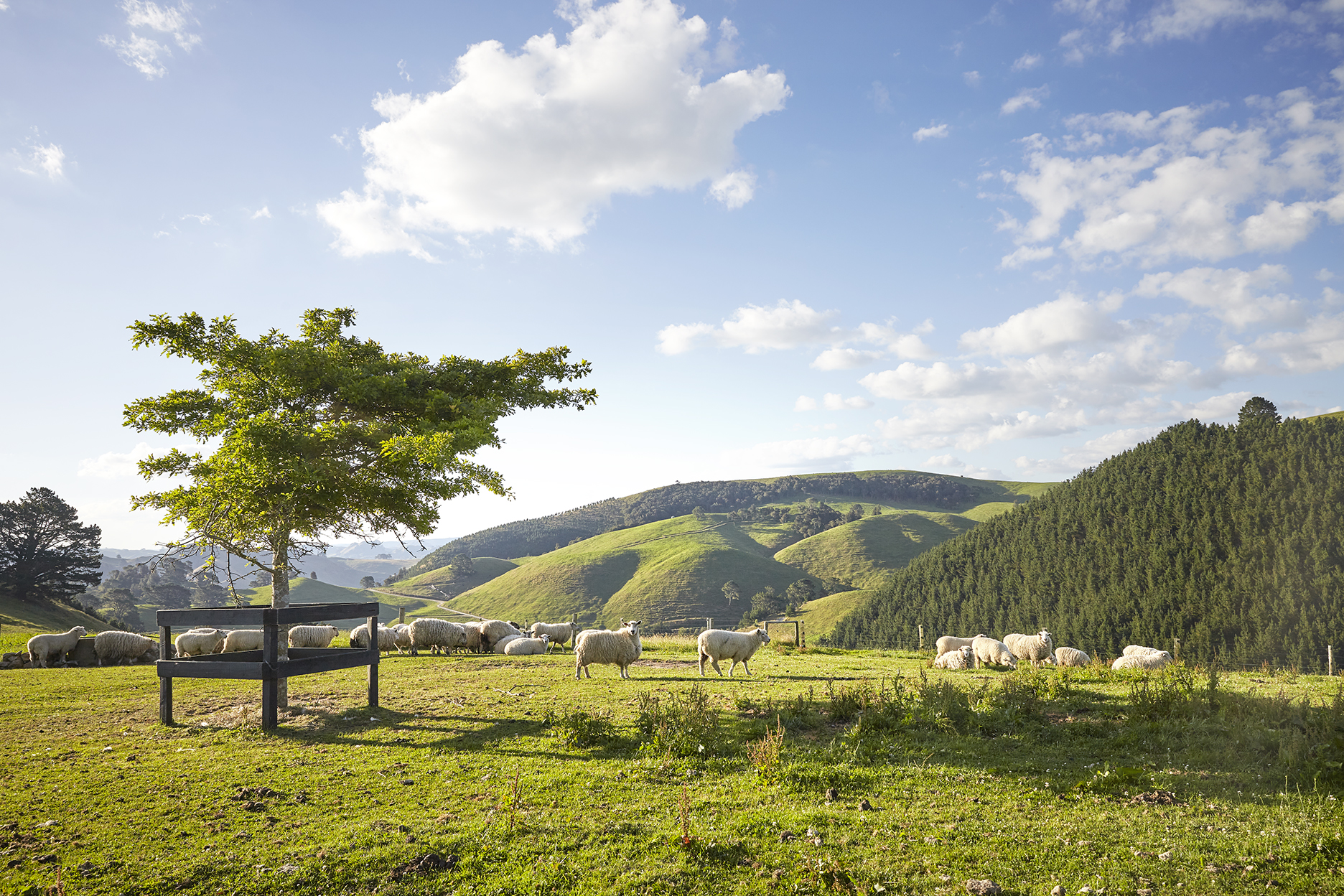 658 Te Kopia Road, Waikite Valley, Rotorua, 4房, 1浴, Grazing