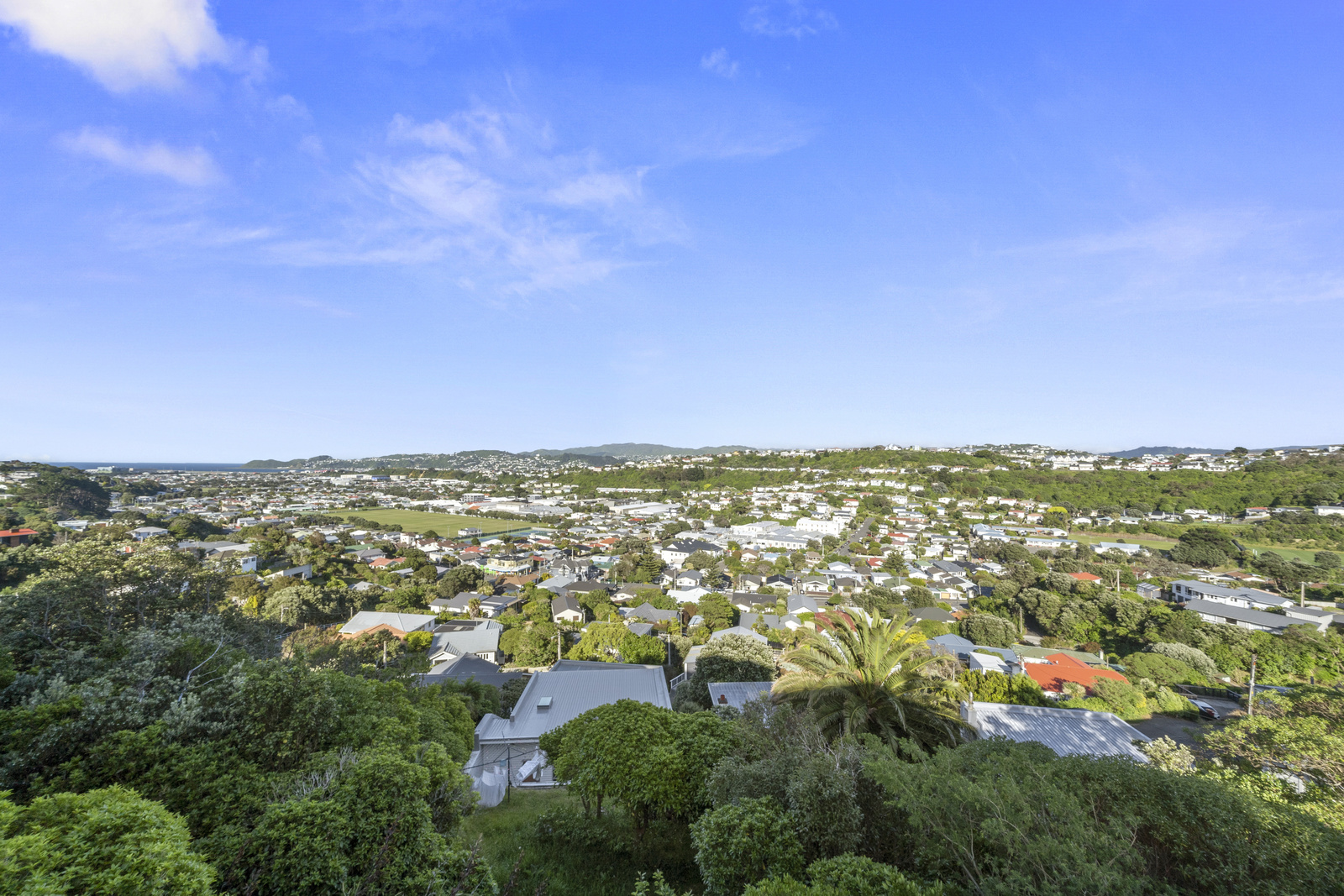 91 Nevay Road, Miramar, Wellington, 4 rūma, 0 rūma horoi, Home & Income