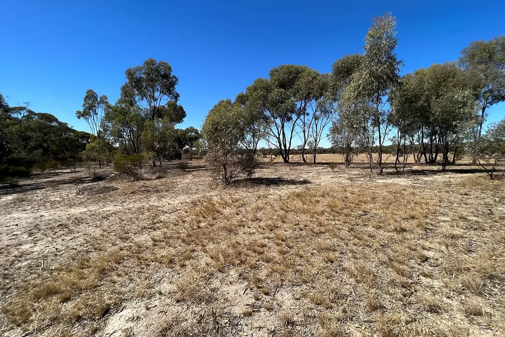 Korong Vale 20 ACRE HOBBY BLOCK - IT'S TIME TO HAVE SOME FUN