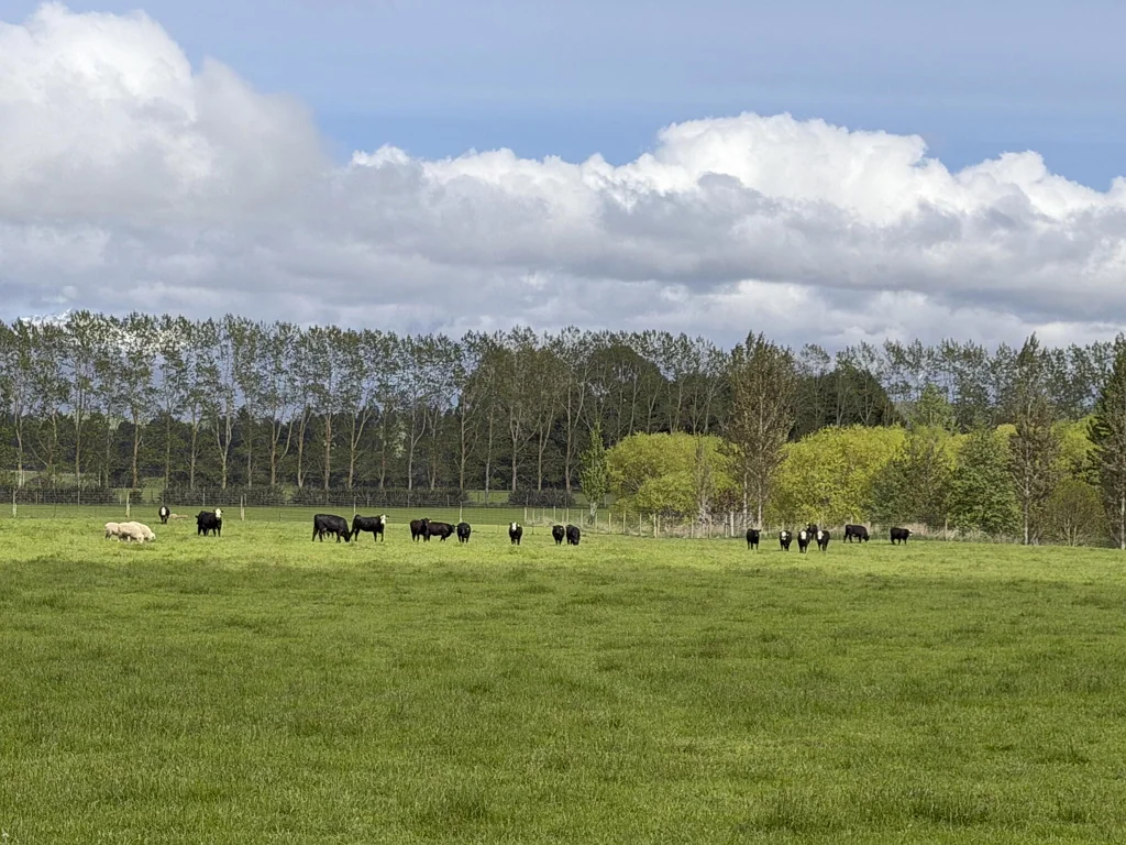 Te Anau  Diversified farming option, Te Anau basin
