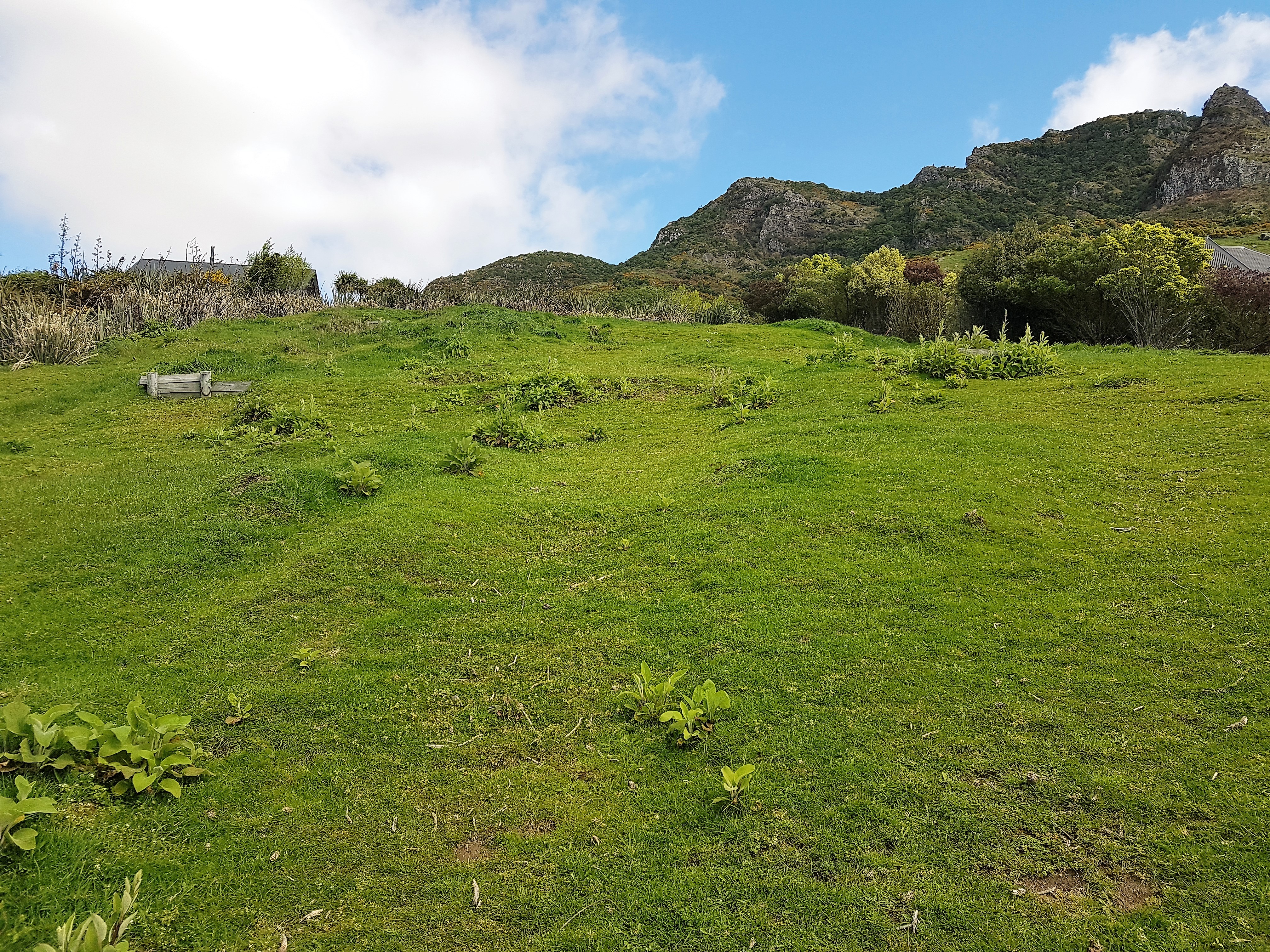 13 Bay Heights, Governors Bay, Christchurch, 0 ਕਮਰੇ, 0 ਬਾਥਰੂਮ