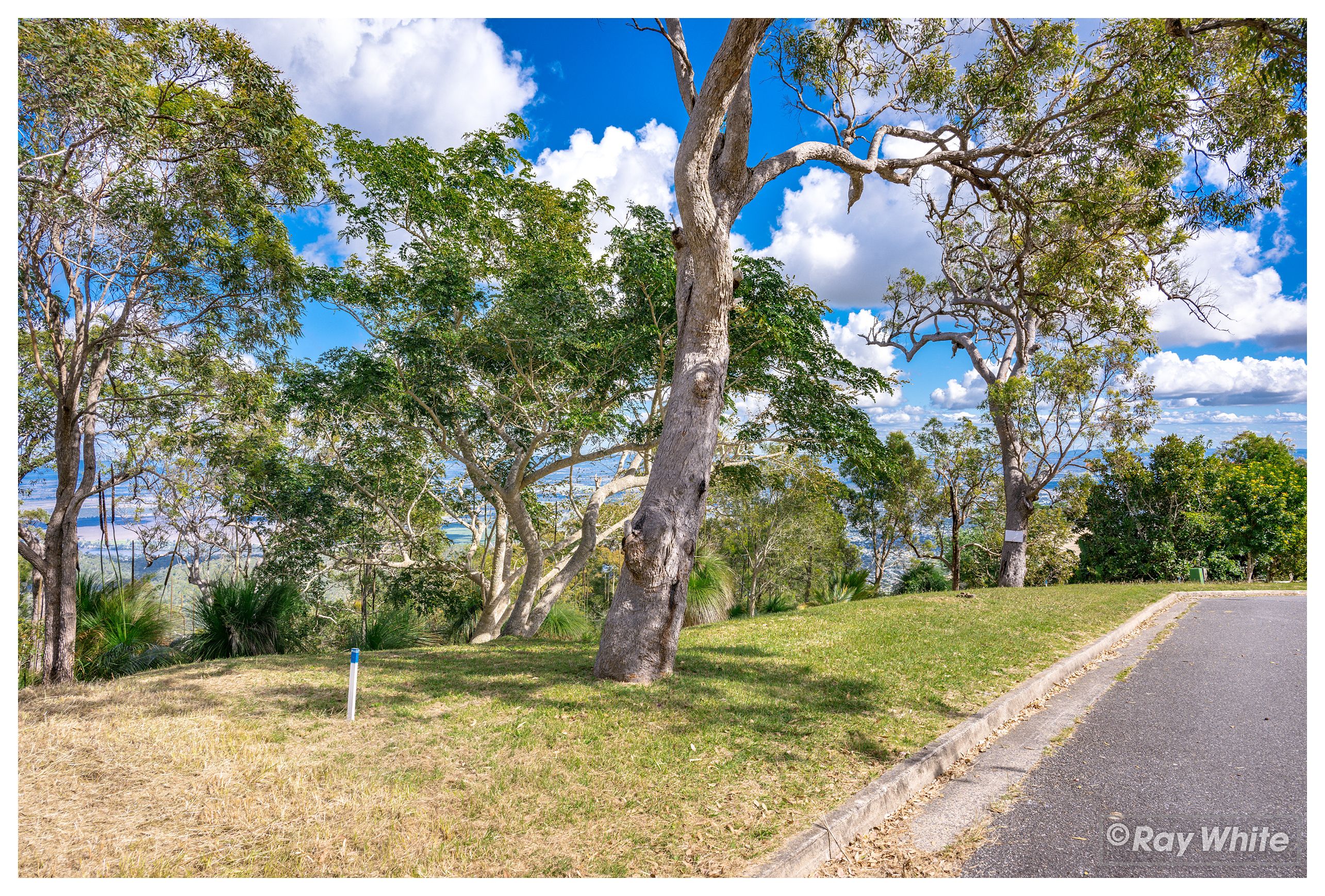 23 ELIDA ST, MOUNT ARCHER QLD 4701, 0房, 0浴, Section