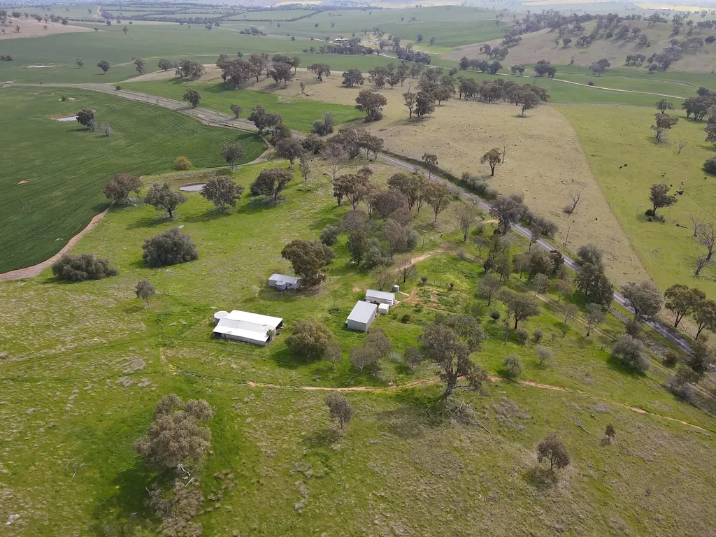 Woodstock  Build Your Dreams