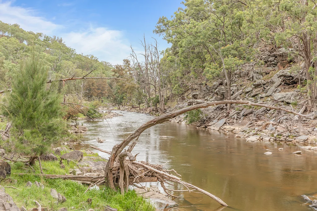 Bruinbun 94 Acres - Riverfront Lifestyle Opportunity