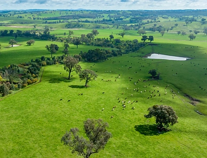  "The Pinnacles" Stonehaven Road, Holbrook, Riverina, 0 chambres, 0 salles de bain, Lifestyle Property