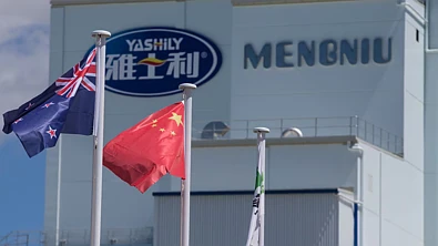 中国传来大利好！a2牛奶获关键批准，股价暴涨11%，拟豪派$3亿股息！