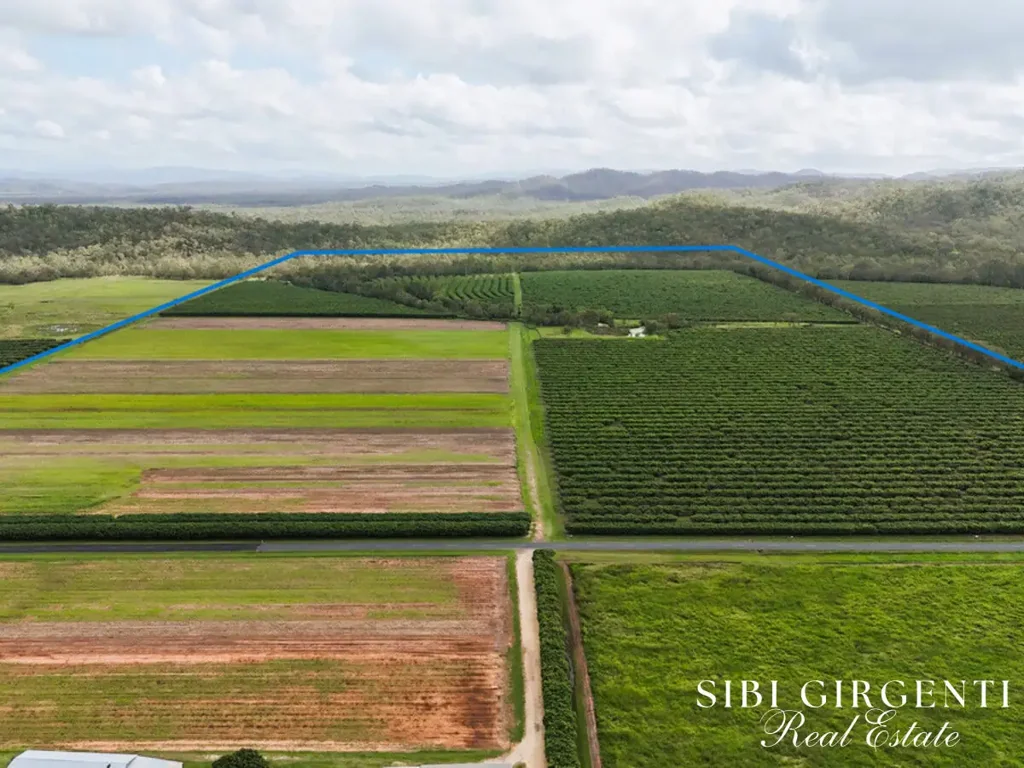 Mareeba Once in a Lifetime Acreage – Creek, Orchard & Scale in Mareeba