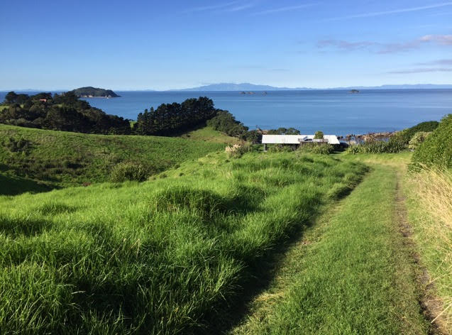 Hauraki Gulf Islands