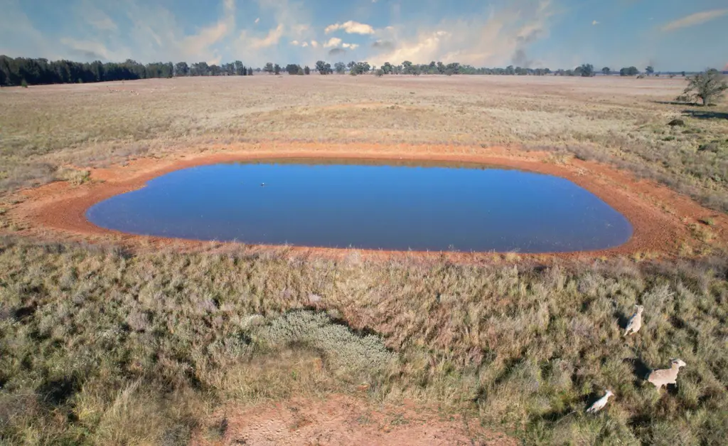 Girral  Part Quamby- Affordable Farming 405 acres