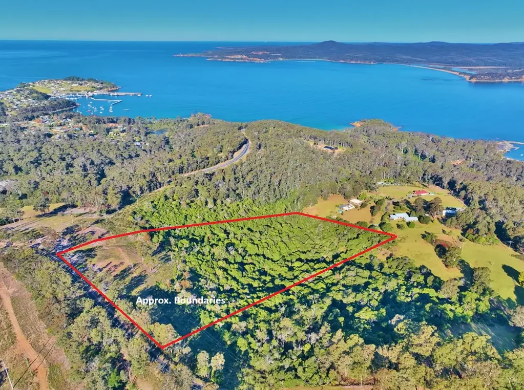 Eden  Panorama
