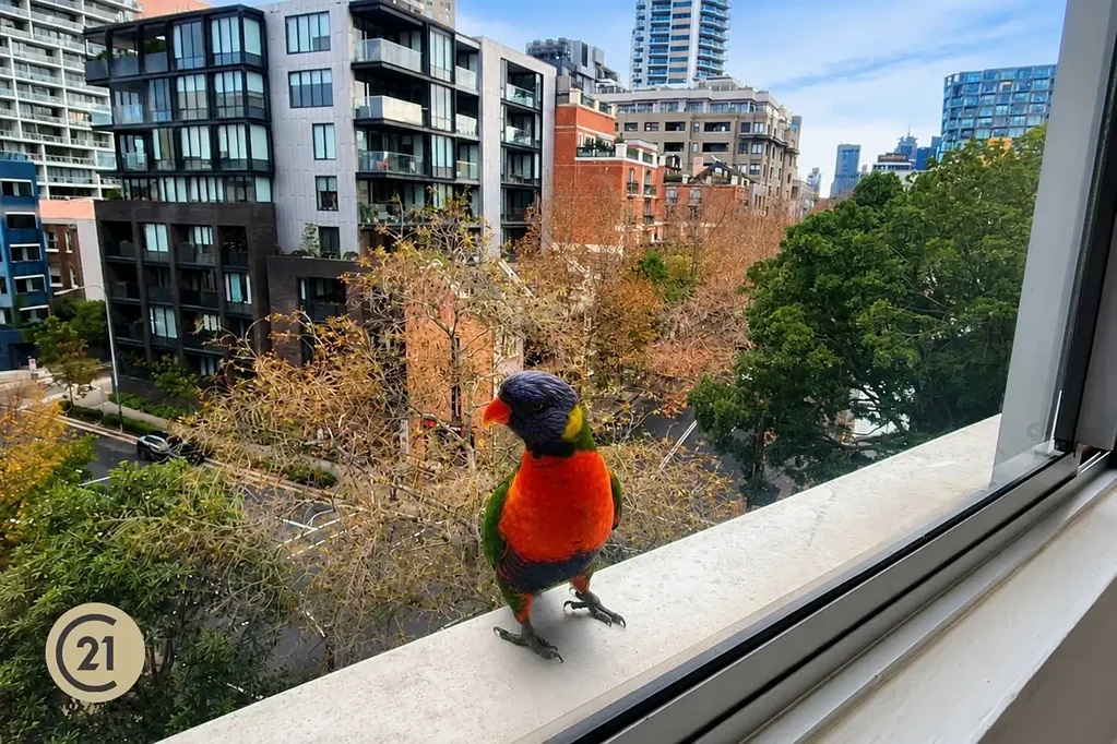 Rushcutters Bay 1房 干净整洁卧室单间 宜人微风视野 优质翻新地板浴室 租金高昂地段 退休业主变现 Definitely A Birds Eye View of the Cross