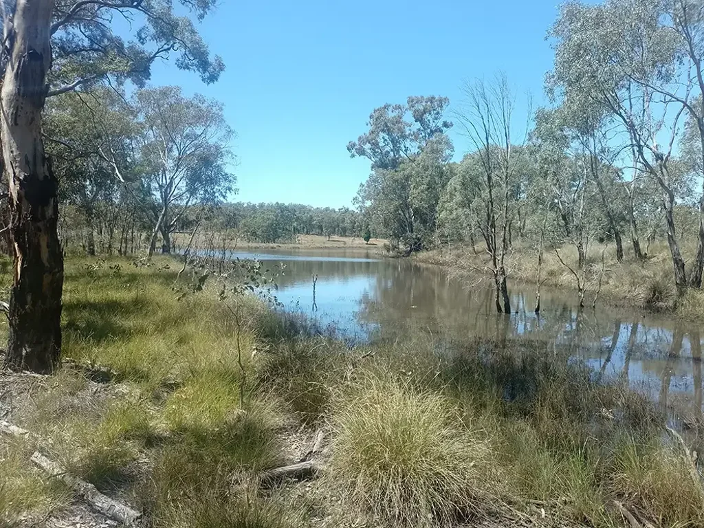Dunedoo  16 hectare / 36 acre lifestyle block