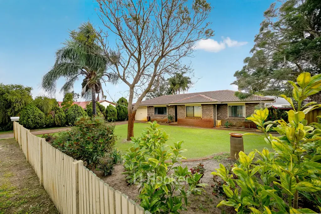 42 Lofthouse Avenue, Eaton, WA 6232, 3 slaapkamers, 1 badkamers, House