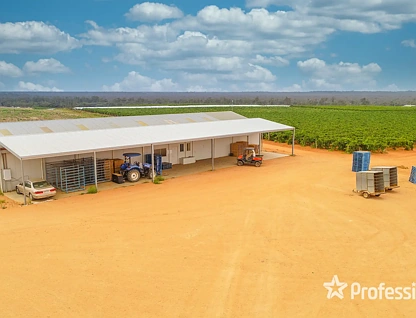 139 Paringi Road, Paringi Via, Monak, NSW 2738, 0 રૂમ, 0 બાથરૂમ, Lifestyle Property
