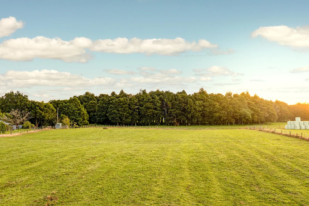 Warkworth Watch your investment grow