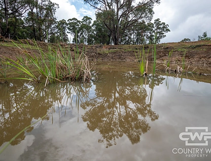LOT 93/470 Silent Grove Road, Torrington, Tamworth, 0 Kuwarto, 0 Banyo, Lifestyle Property