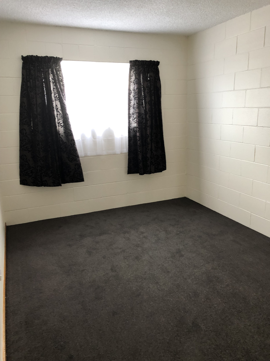 12a Kowhai Street, Hamilton Lake, Hamilton, 2房, 1浴