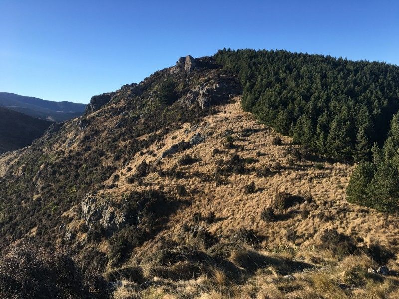 Rural Banks Peninsula