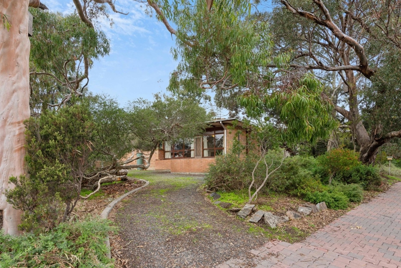 31 BARNETT AV, ST MARYS SA 5042, 0房, 0浴, House