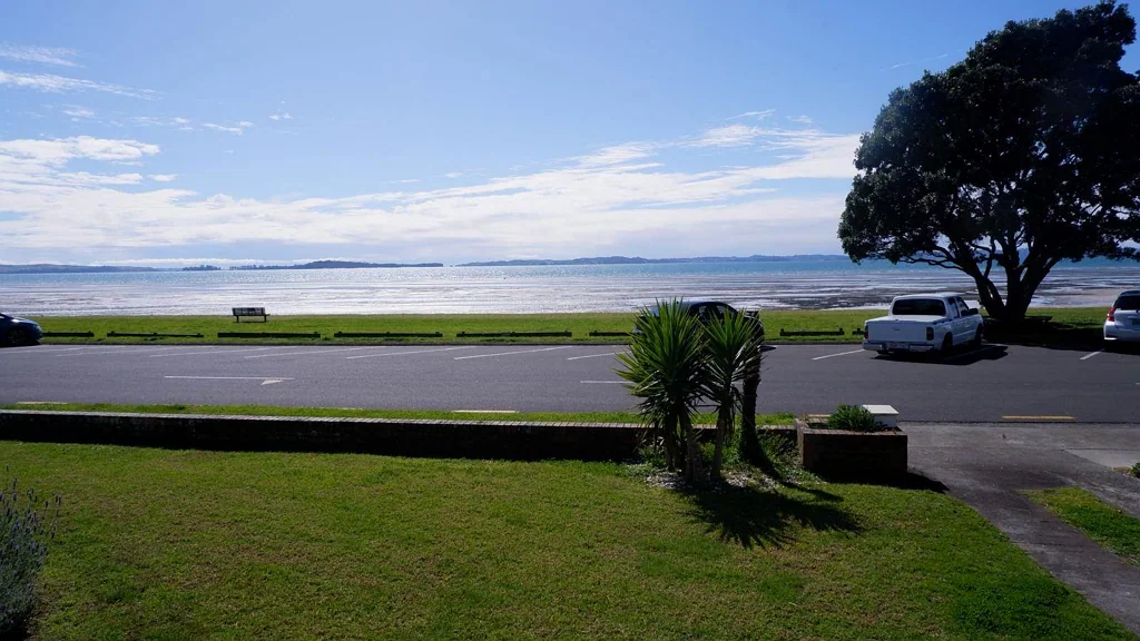 Experience The Esplanade!