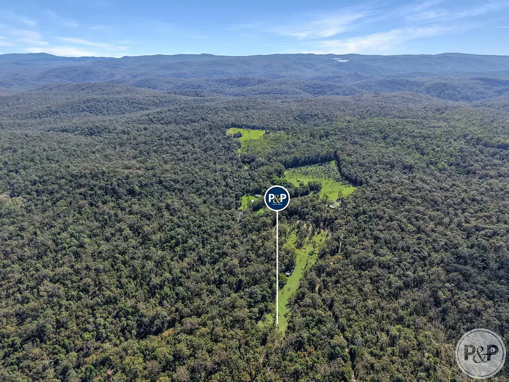 Paluma  Own Your Own Slice of Rainforest Paradise!
