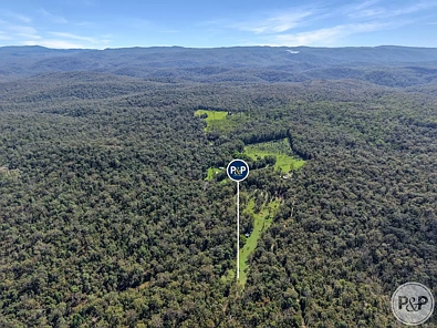 Paluma Own Your Own Slice of Rainforest Paradise!