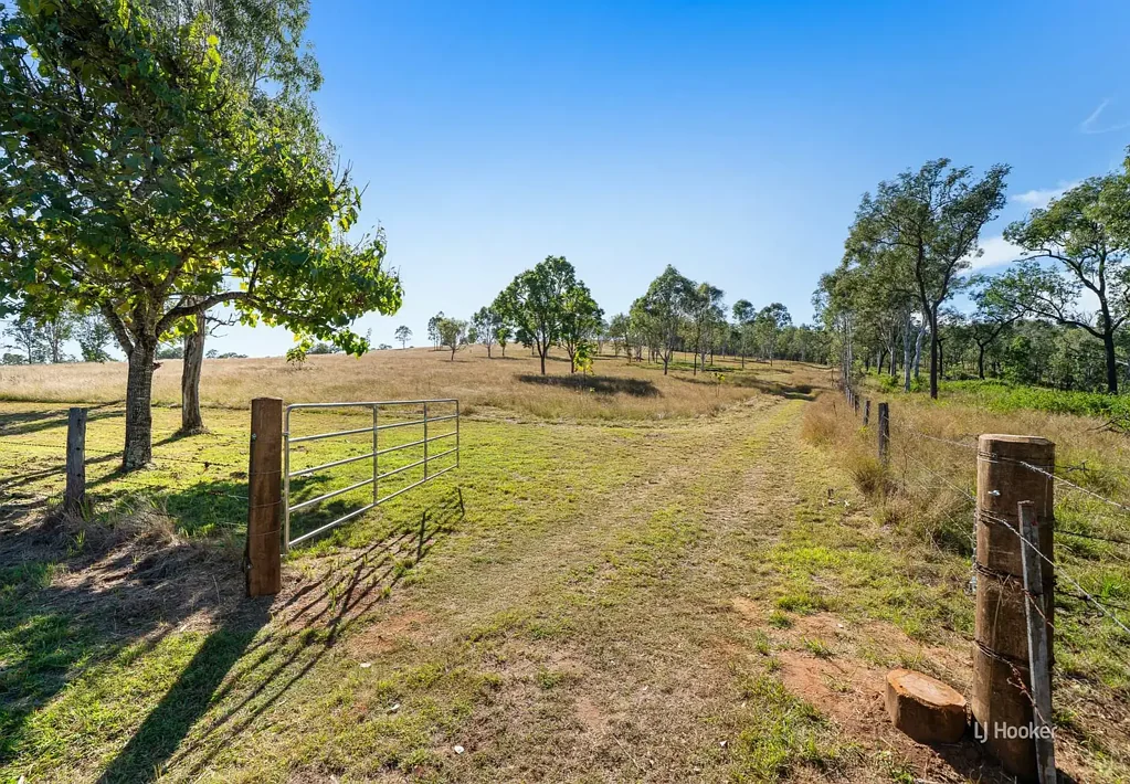 Taromeo 18.75亩高地 牧场林地 山脉景观 毗邻溪流 私密养牛 A Genuine Tree Change Opportunity with Space, Serenity, and Spectacular Views!