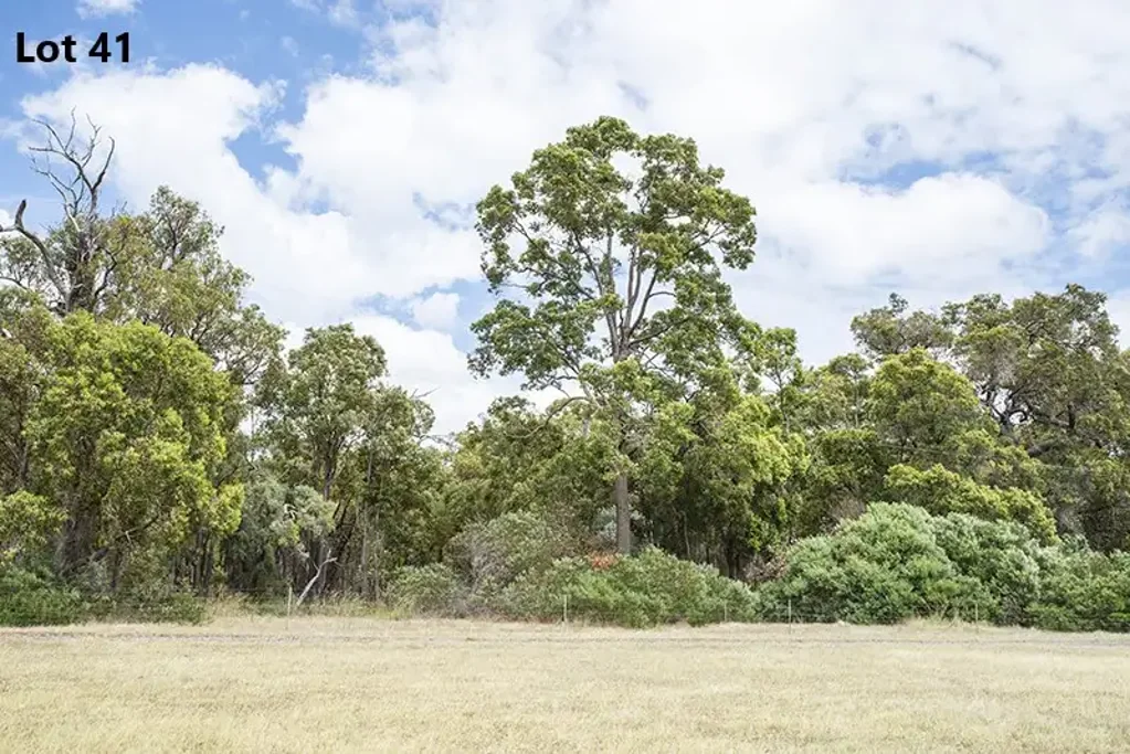 LOT 41 Preston River Rise, Boyanup, WA 6237