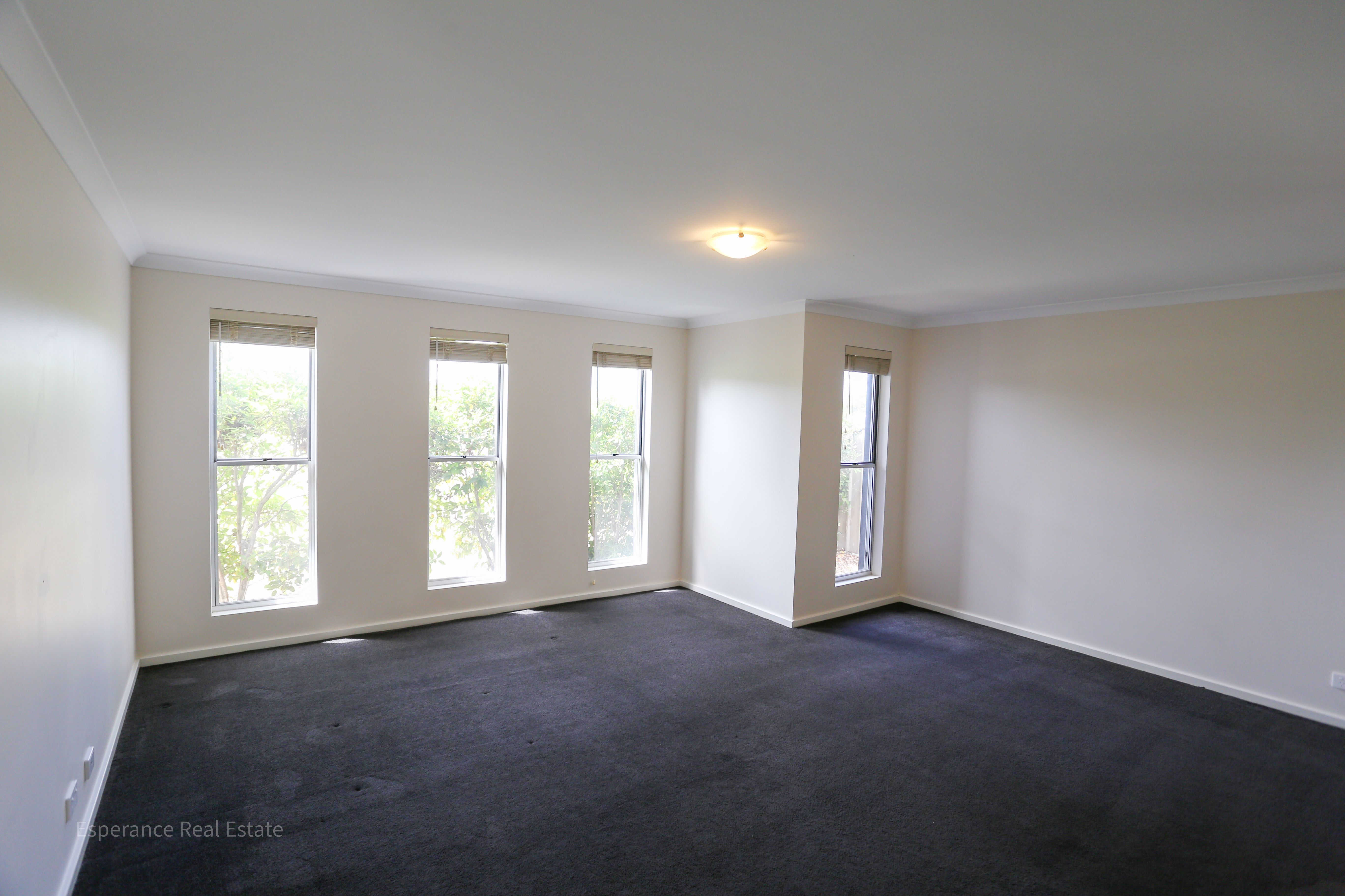 209 GOLDFIELDS RD, CASTLETOWN WA 6450, 0房, 0浴, House