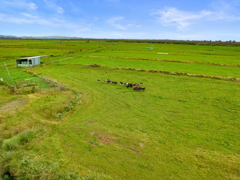 Kaihere Road, Kaihere, Hauraki, 0 Kuwarto, 1 Banyo