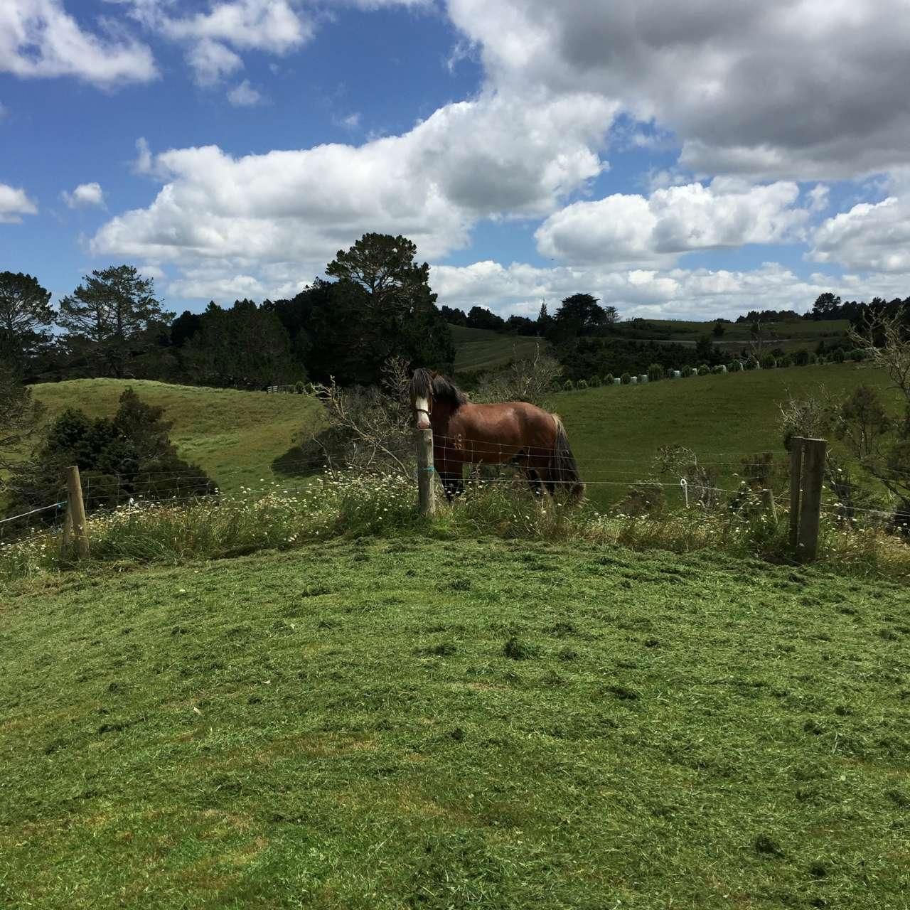 135 Central Road, Mareretu, Kaipara, 2房, 1浴