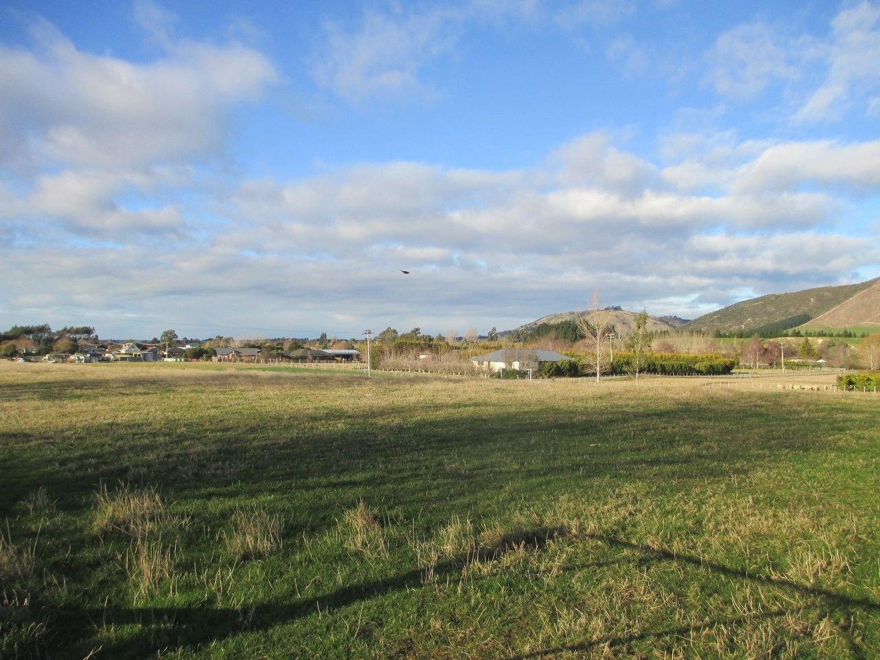 Queens Terrace, Waimate, Waimate, 0 Schlafzimmer, 1 Badezimmer