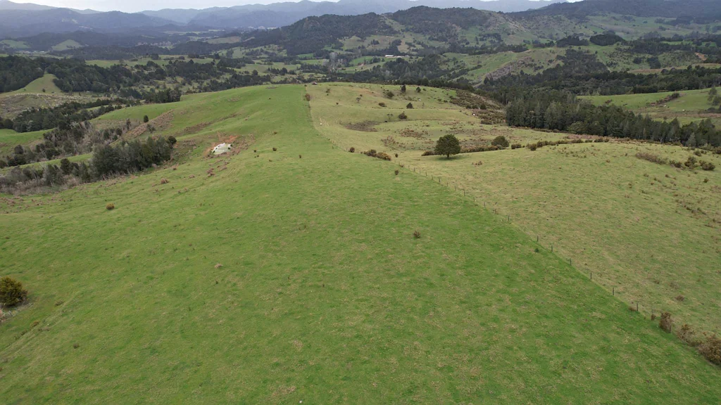 Mangamuka Beef Opportunity with Executive Four Bedroom Home