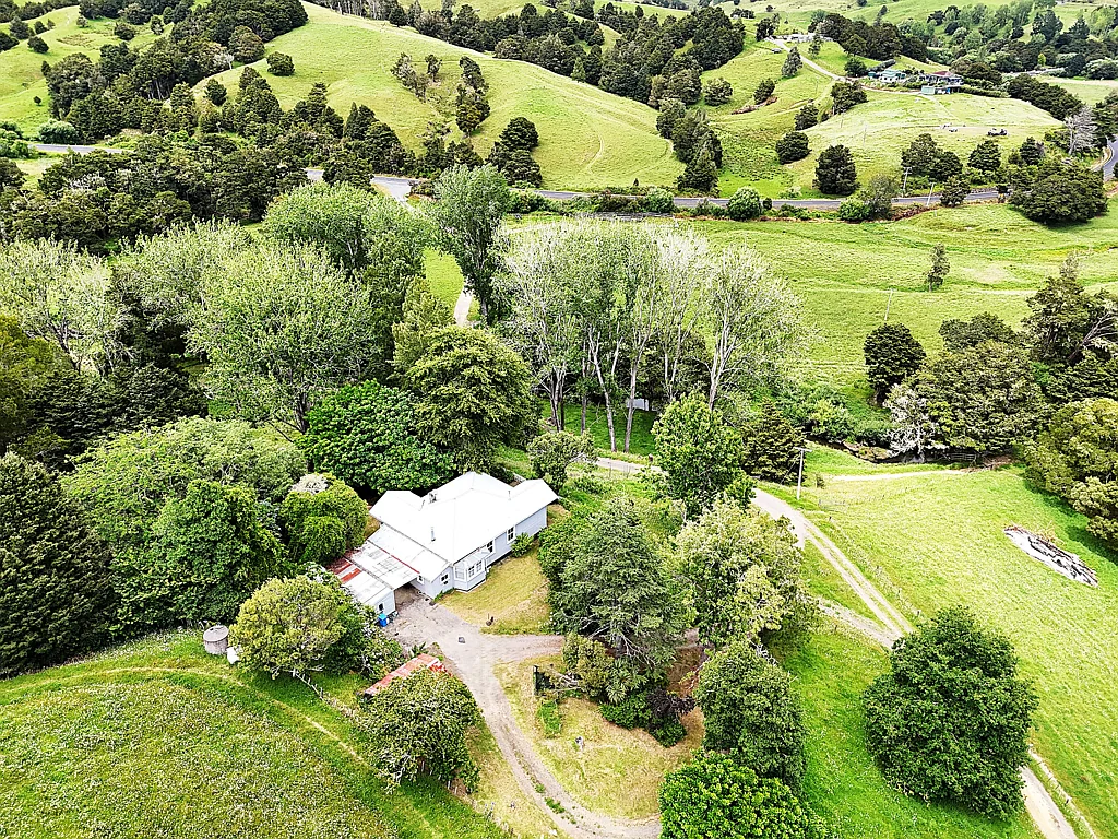 Whangarei Central A Picturesque Surprise