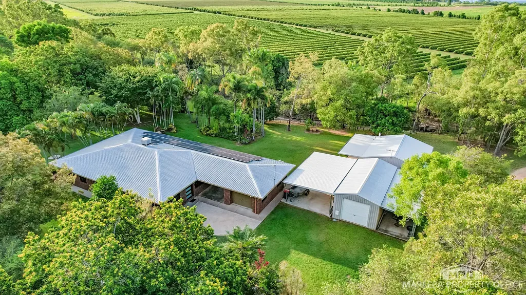 Mareeba 3ਬੈੱਡਰੂਮ LIFESTYLE GEM ON SPRAWLING 1.12 HA
