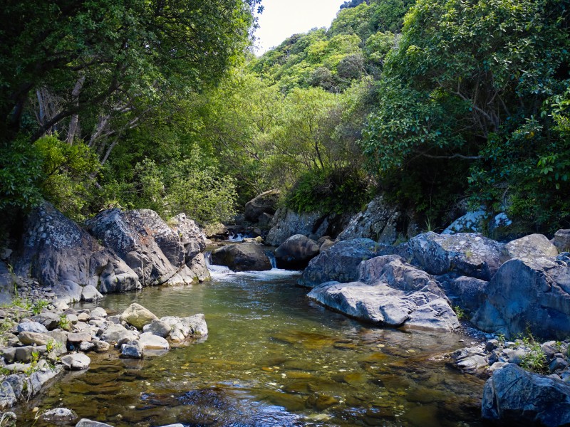 2009 Rakautara, Half Moon Bay, Kaikoura, 0 habitaciones, 0 baños