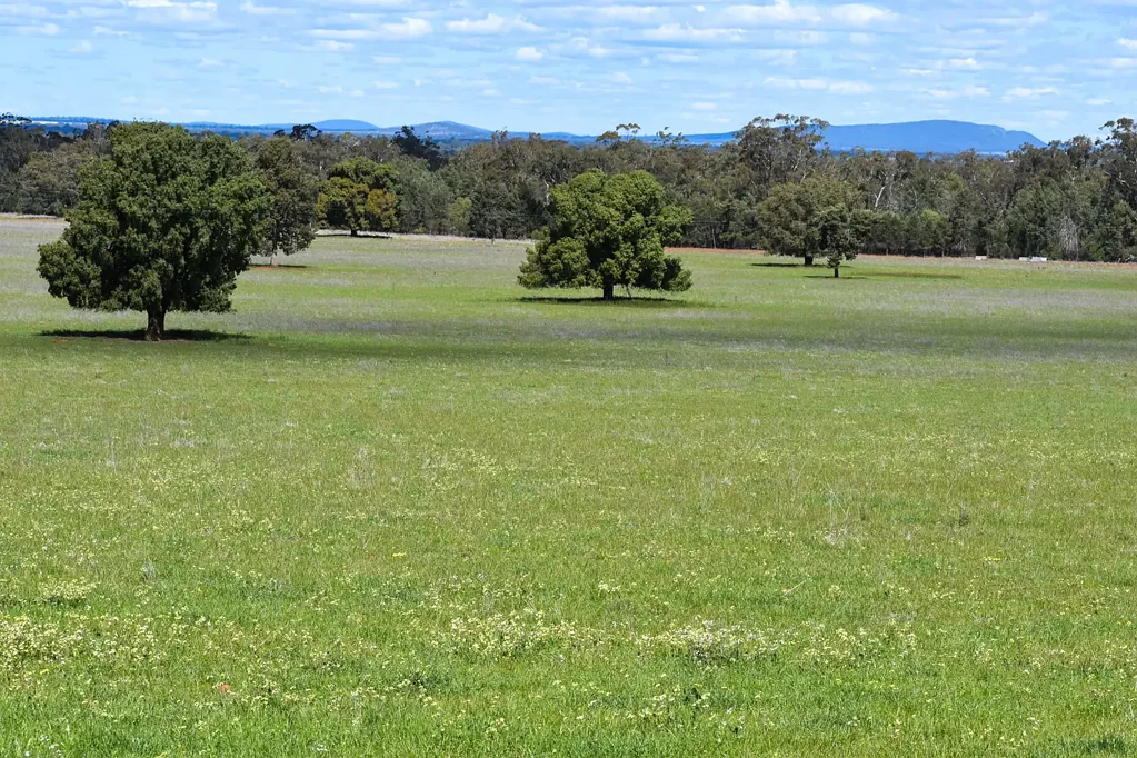 Fifield  "FOREST VIEW", Great mixed farming opportunity