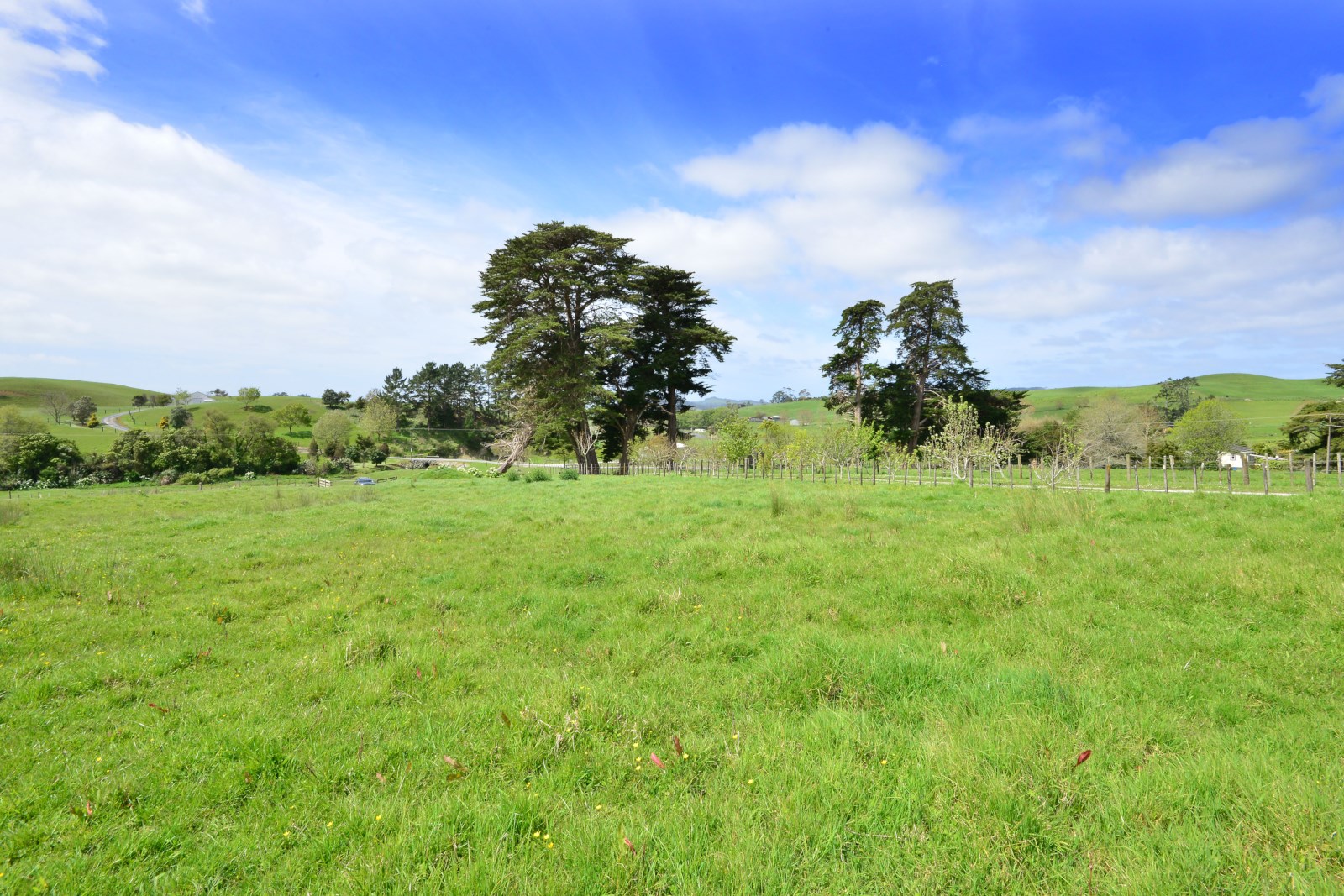 19 Borrows Road, Wellsford, Auckland - Rodney, 0 chambres, 0 salles de bain