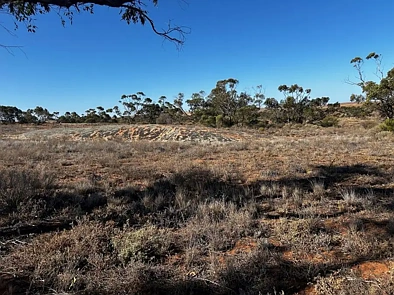其他 - Section 30 Carmody Road, Midgee, SA 5602