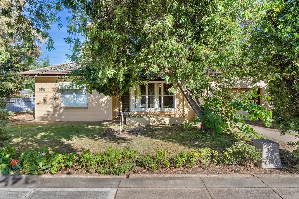 14 Wongala Avenue, Glenelg North, SA 5045