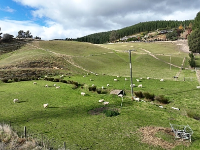 28 Ramsgate Street, Waihola, Clutha, Otago, 3房, 1浴, Lifestyle Section