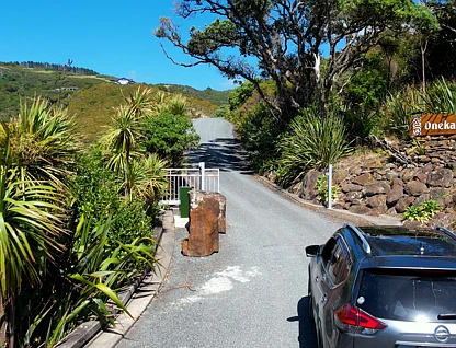 Onekainga Rise, Whananaki, Whangarei, 0 Bedrooms, 0 Bathrooms, Lifestyle Section