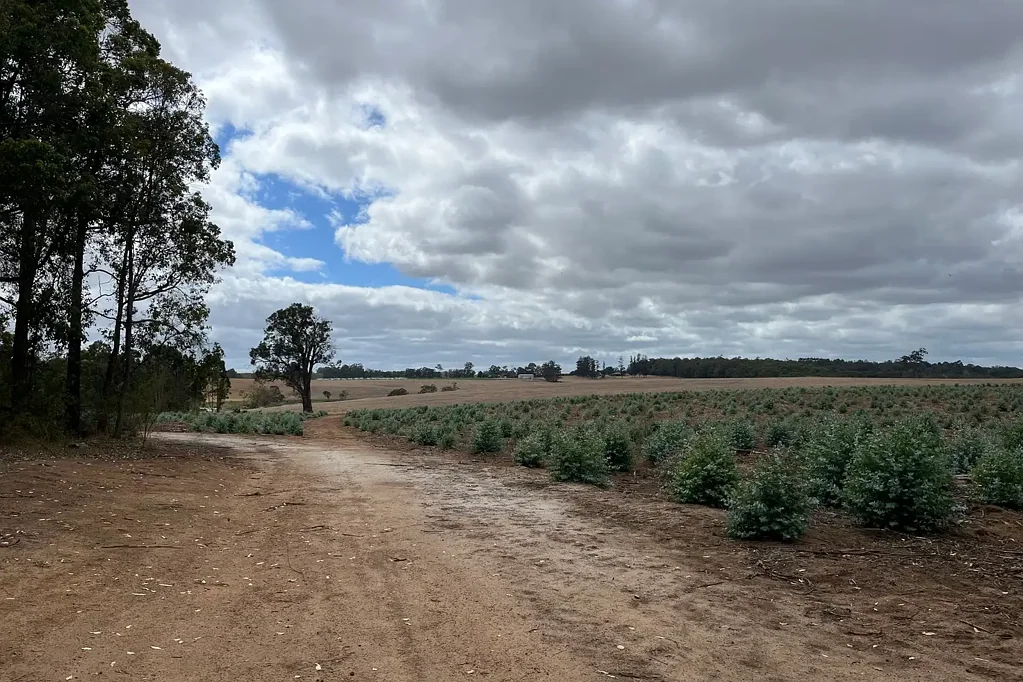 Lot 12913 Tannin Road, Manjimup, WA 6258