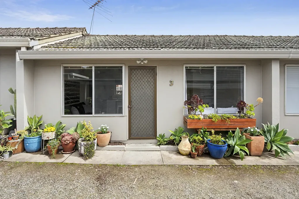 Renovated and Ready