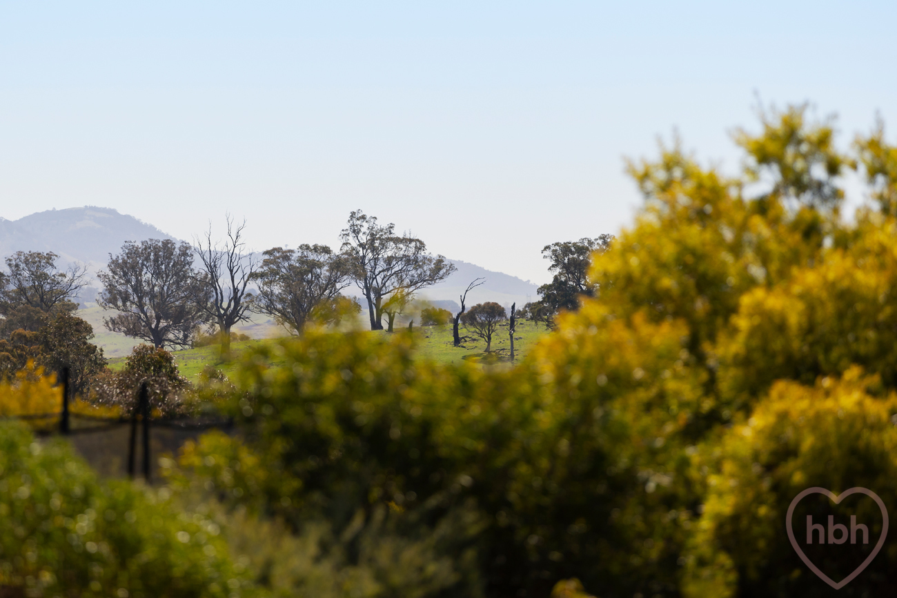 4 SUE WATT PL, URIARRA VILLAGE ACT 2611, 0 habitaciones, 0 baños, House