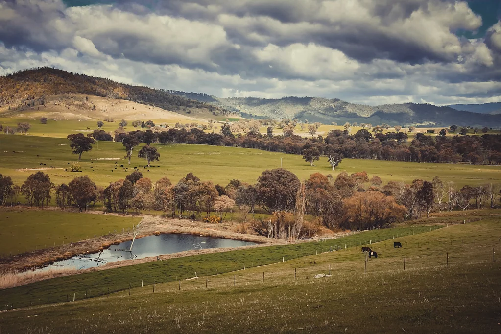 Corryong 10 Acres of Pure Potential
